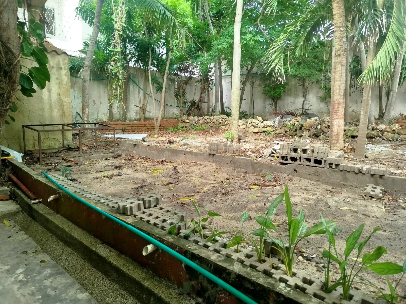 Patio trasero de Casa Feliza en obra: bordes de ladrillo, riego instalado y siembra nueva